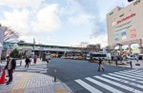 コントラバス用フレンチ弓が入荷しました｜お手頃価格で安定品質のGraziosoシリーズ｜コントラバス専門ベースランド